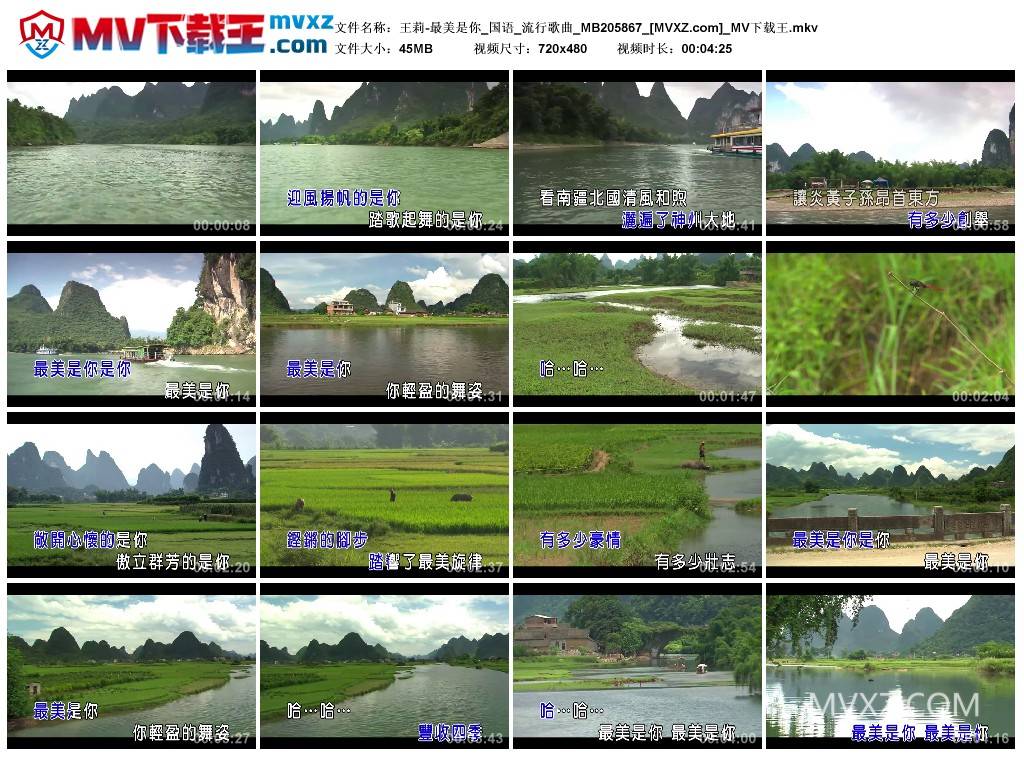 王莉-最美是你_国语_流行歌曲_MB205867